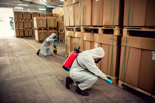Professional Pest Control in Byron, GA