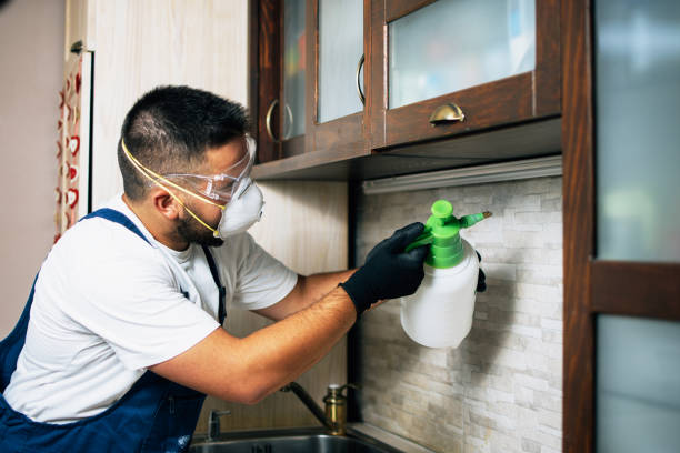 Best Rat Extermination Near Me  in Byron, GA