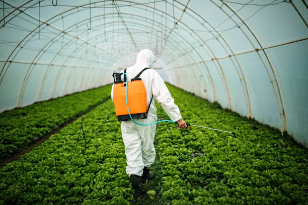Best Emergency Pest Control  in Byron, GA