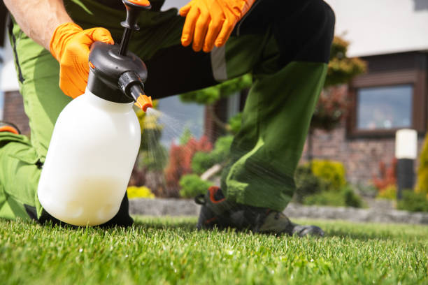 Best Best Pest Control Companies  in Byron, GA