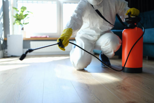 Best Wasp Removal Services  in Byron, GA