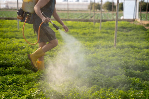 Best Affordable Exterminators  in Byron, GA