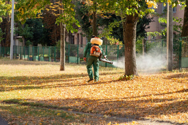 Best Cockroach Control Services  in Byron, GA