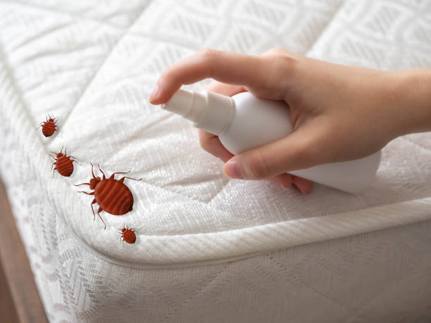 Best Commercial Pest Control Services  in Byron, GA